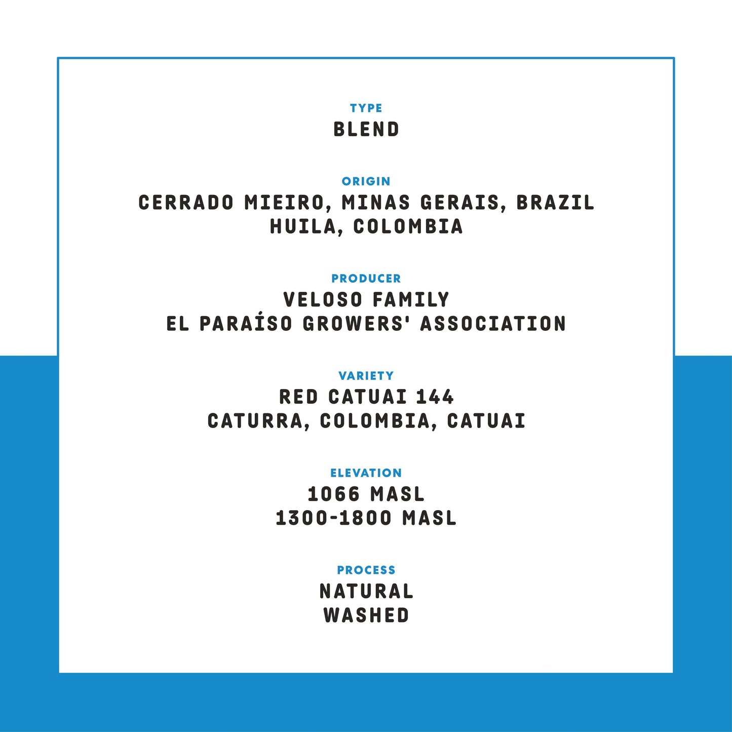 The Daily